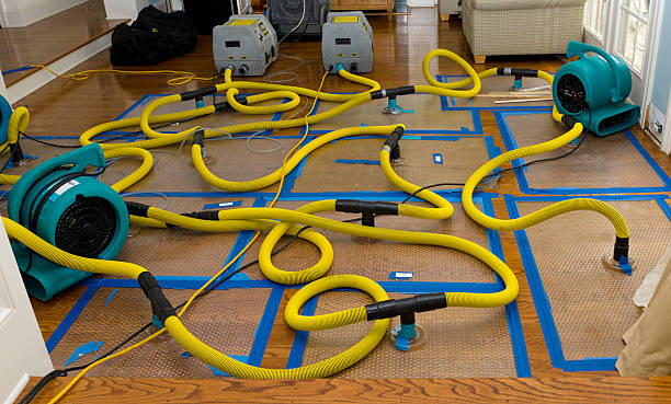 Professional Crawl Space Water Removal technician working in Fowler, CO